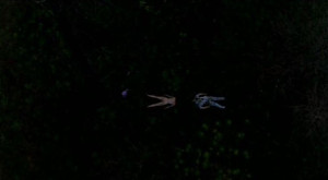 wandhbodies