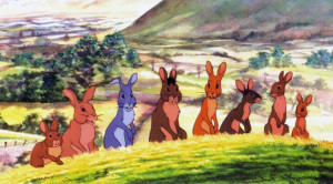 watershipdown